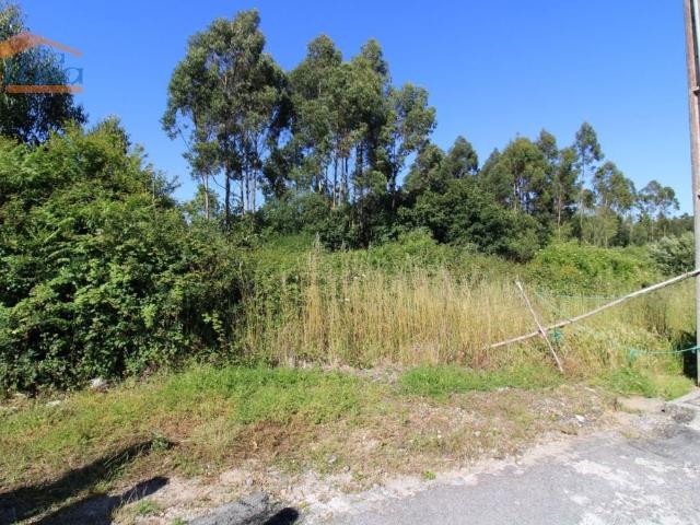 Terreno de 10000 m2 à venda Vila Nova de Gaia, Porto