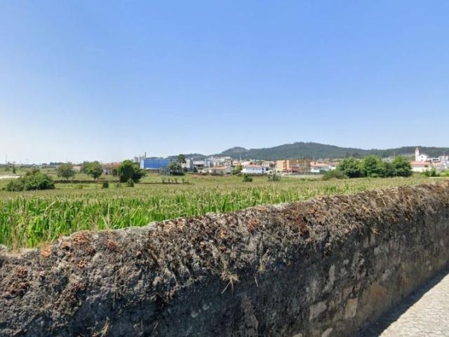 Terreno de 10000 m2 Barcelos, Braga