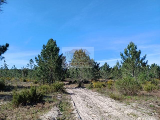 Terreno de 1040 m2 Brejinho de Agua, Grândola, Setúbal
