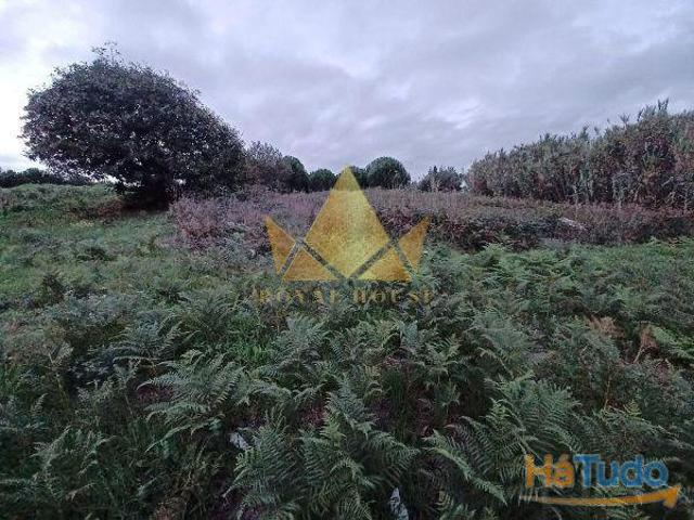 Terreno de 10721m2 para Venda na Batalha | 25063925794