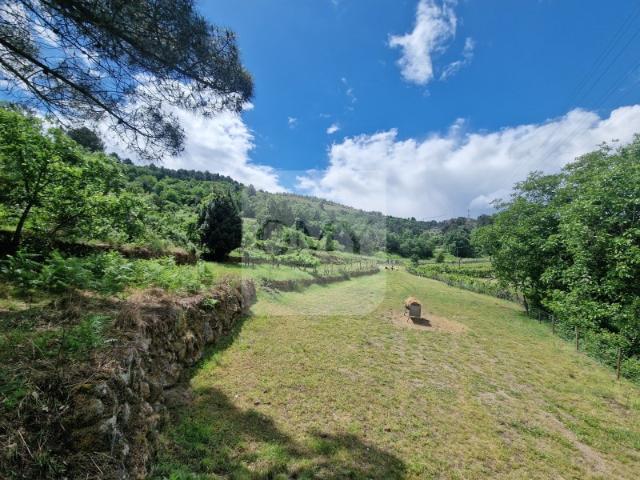 Terreno de 10.000 m2 em Parada de Cunhos, Vila Real
