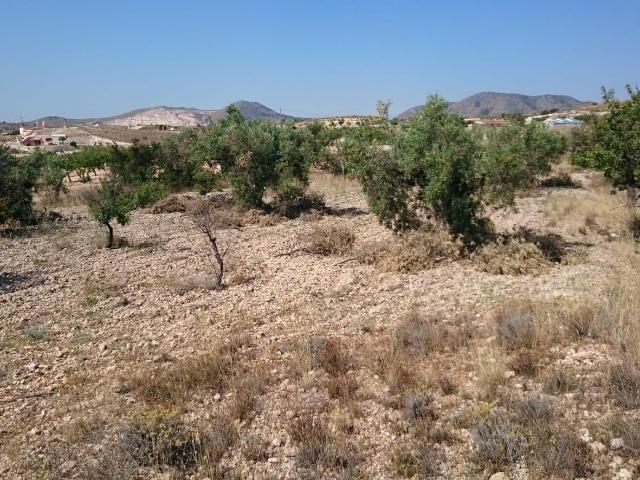 Terreno de 10.000 m2 en Plena Naturaleza