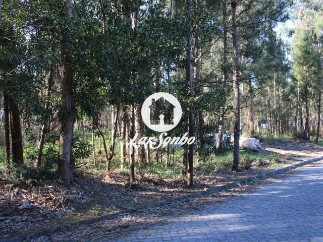 Terreno de 11005 m2 à venda Barcelos, Portugal