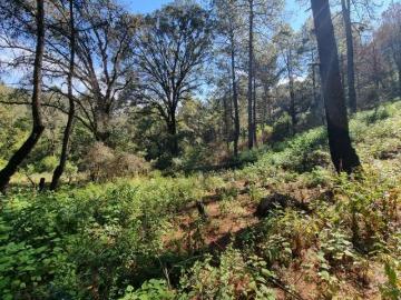 Terreno de 11000 m2 a 7 min de la Caseta desviación Amanalco