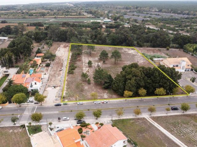 Terreno de 11275 m2 à venda Mira, Portugal