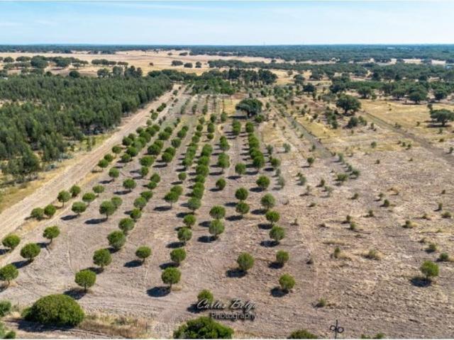 Terreno de 112720 m2 Canal Caveira, Grândola, Setúbal