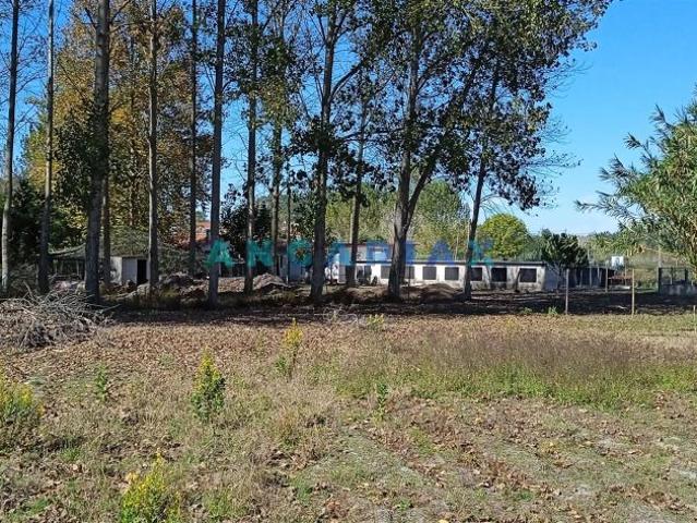 Terreno de 11 m2 à venda Monte Real, Leiria