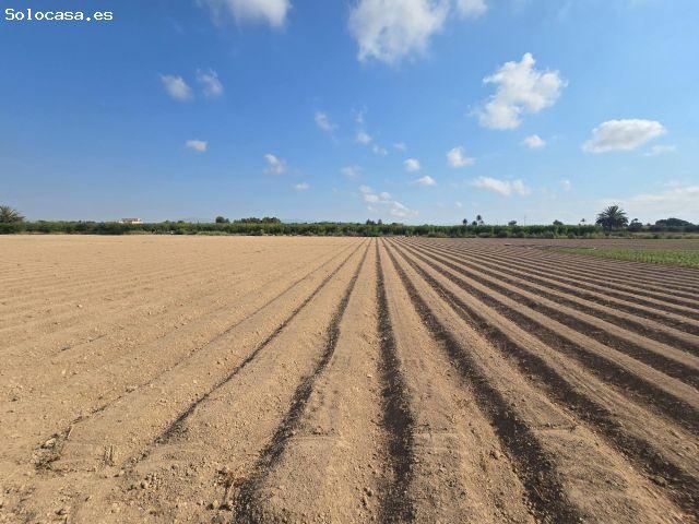 Terreno de 11.000 m² con servicios y acceso fácil: construye tu futuro en Valverde Elche