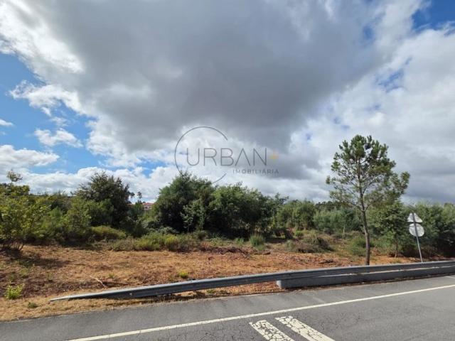 Terreno de 12000 m2 à venda Viseu