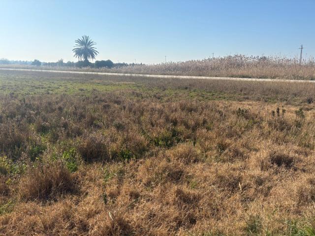 Terreno de 12000 metros en Daimés
