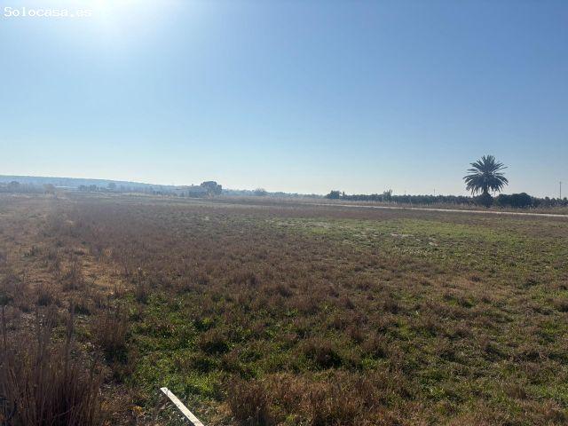 TERRENO DE 12000 METROS EN DAIMES