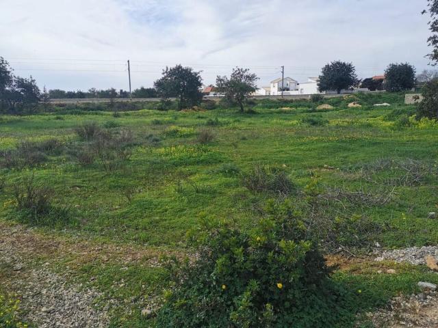 Terreno de 12540 m2 Albufeira e Olhos de Água, Albufeira, Faro