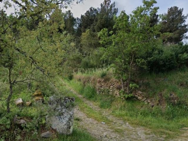 Terreno de 12 mil m2, perto do Casino Solverde de Chaves