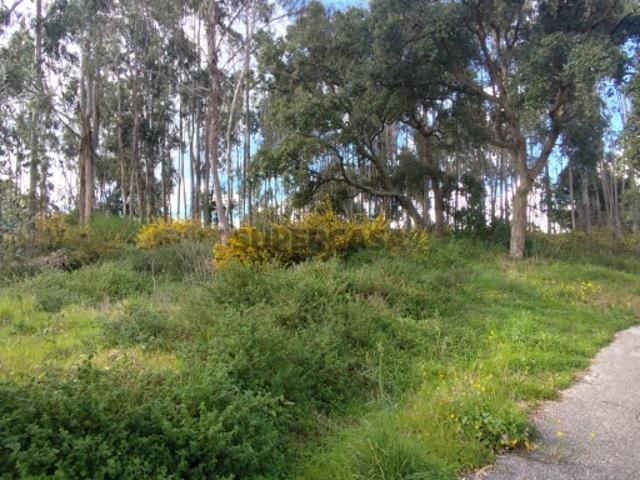 Terreno de 12.882 m2 Brogal, Parceiros, Leiria