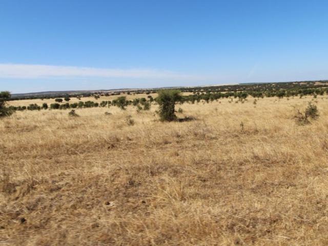 Terreno de 1350000 m2 Ferreira do Alentejo, Beja