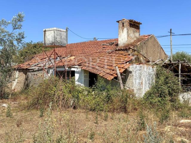 Terreno de 1.560 m² com Ruína e Projeto Aprovado para Moradia T4 Tomar