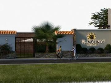 Terreno De 1 Ha En Valle Del Medio Piura Ideal Para Desarrollo Inmobiliario Rpum
