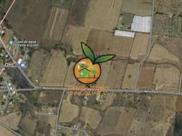 TERRENO DE 1 HECTÁREA EN JUANACATLAN, SALTO