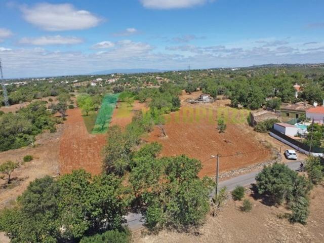 Terreno de 240 m2 à venda Guia, Portugal