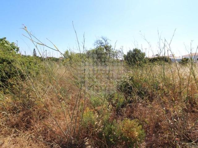 Terreno de 240 m2 à venda Lagos, Faro