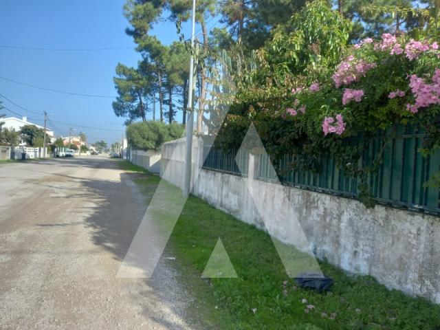 Terreno de 2500m2 C/Projeto Zona da Aroeira, Charneca da Caparica e Almada