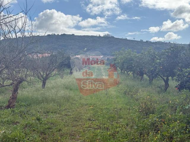 Terreno de 2510 m2 à venda Palmela, Setúbal
