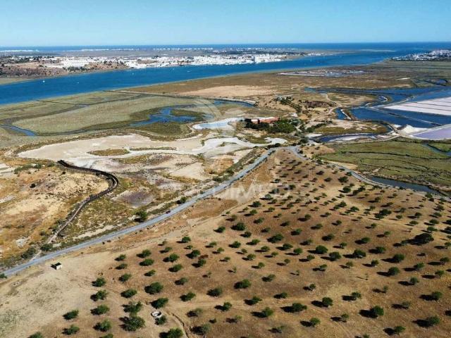 Terreno de 257180 m2 à venda Castro Marim, Faro
