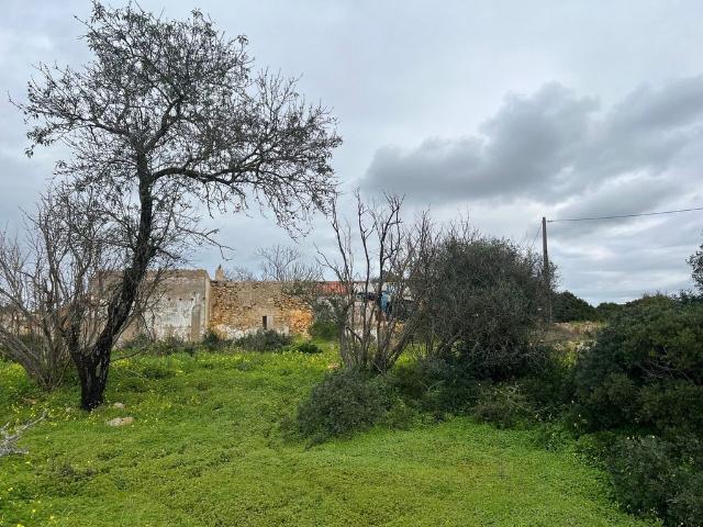Terreno de 27040 m2 Silves, Portugal