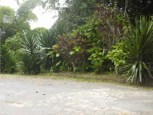 Terreno de 27258 m2 con anteproyecto en Oripoto El Hatillo Caracas