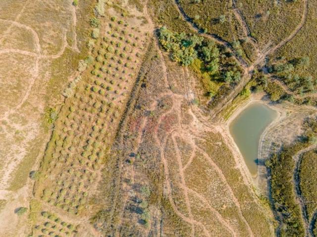 Terreno de 280000 m2 à venda Rasmalho, Portimão, Faro