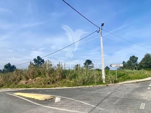 Terreno de 28000 m2 à venda Azambuja, Portugal