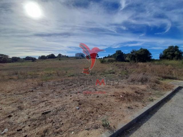 Terreno de 29600 m2 à venda Santarém, Portugal