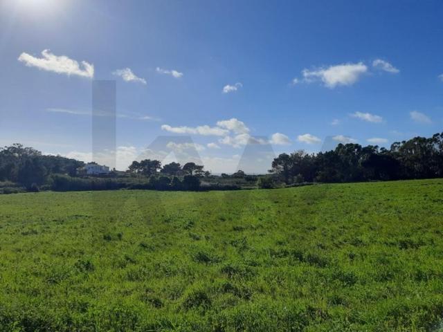 Terreno de 2000 m2 à venda Centro, Mafra, Lisboa