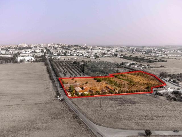 Terreno de 20160 m2 Beja