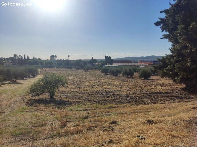 Terreno de 20.000 m2