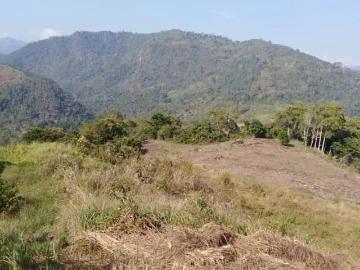TERRENO DE 20 000 METROS A 200 METROS DE LA PISTA EN SAN LUIS DE SHUARO