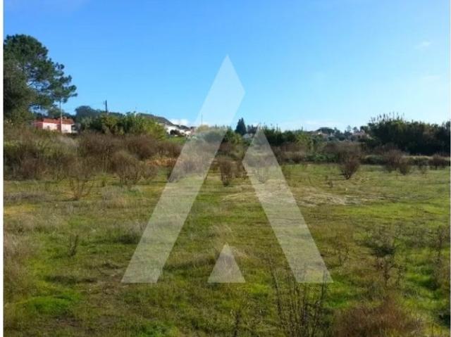 Terreno de 21808 m2 Leiria