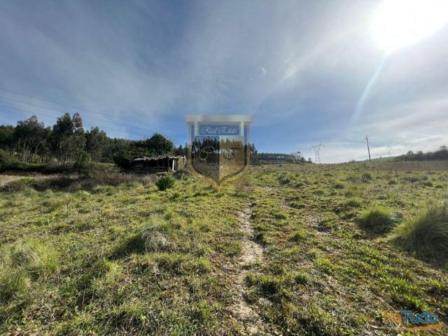 Terreno de 21.600m2 com 690m2 de area urbanizavel e 1000m2 de area construção Vilar | 26084058243