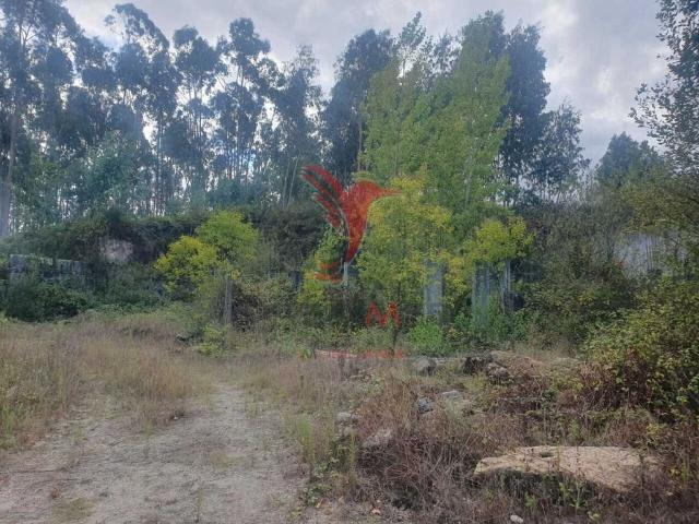 Terreno de 22000 m2 Fafe, Braga
