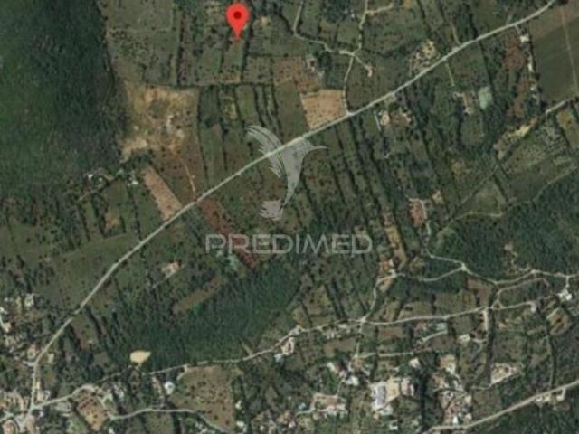 Terreno de 2200 m2 São Brás de Alportel, Portugal