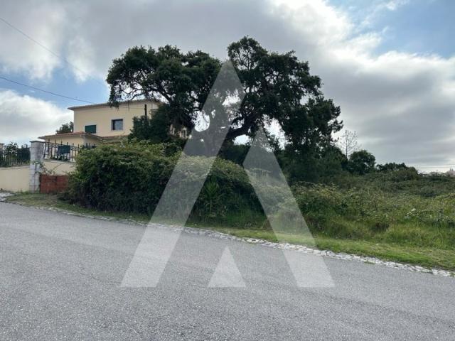 Terreno de 2220 m2, Vistas Castelo, em Leiria