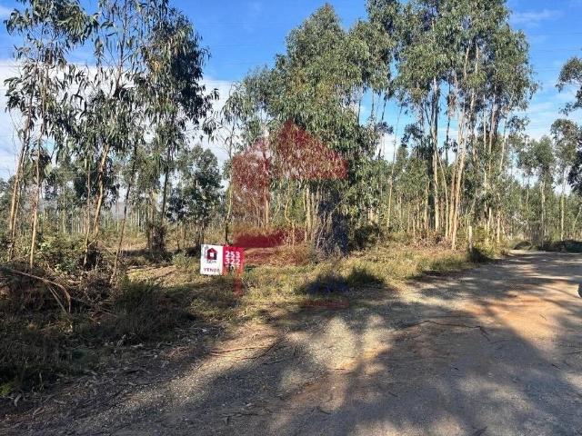 Terreno de 22500 m2 Vila Verde, Braga