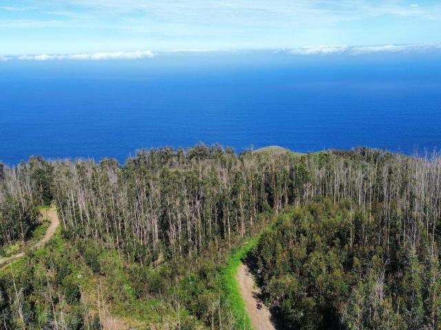 Terreno de 2.500 m² para Construção Achadas da Cruz, Porto Moniz