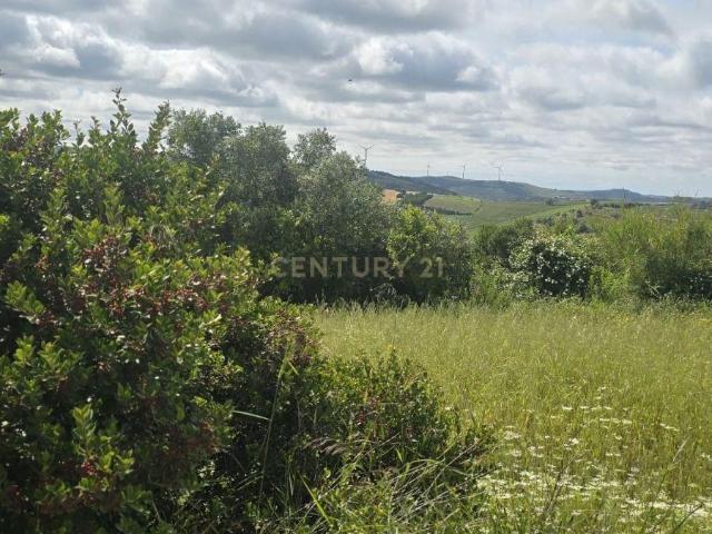Terreno de 2.880 m² no Arneiro Oportunidade no Coração do Oeste