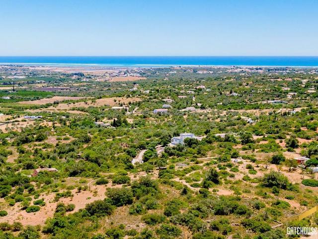 Terreno de 2 Hectares em Moncarapacho, no Algarve Oriental à. m² Moncarapacho e Fuseta