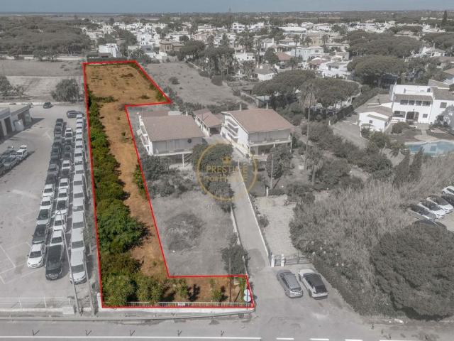 Terreno de 3500 m2 Montenegro, Portugal