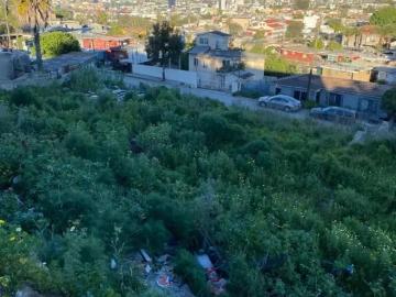 Terreno de 355m² con Espectacular Vista a la Ciudad en Colonia Hidalgo