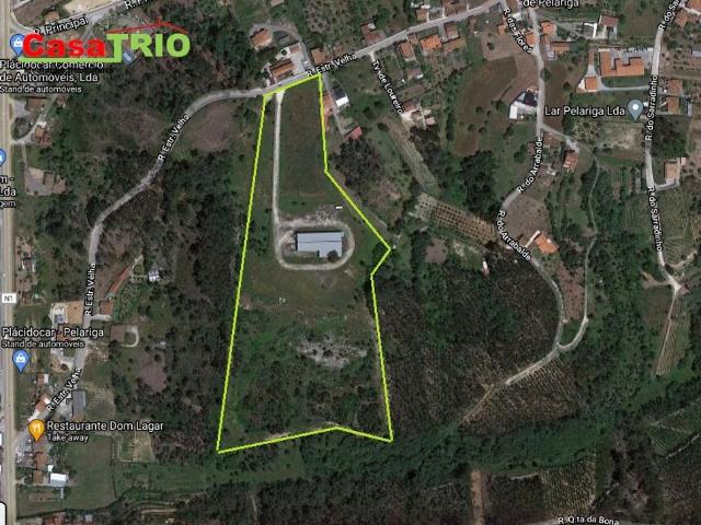 Terreno de 36000 m2 Pombal, Leiria