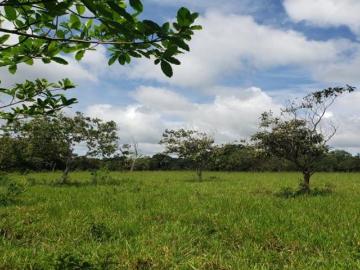 Terreno de 37 hectáreas en Venta en Boquete
