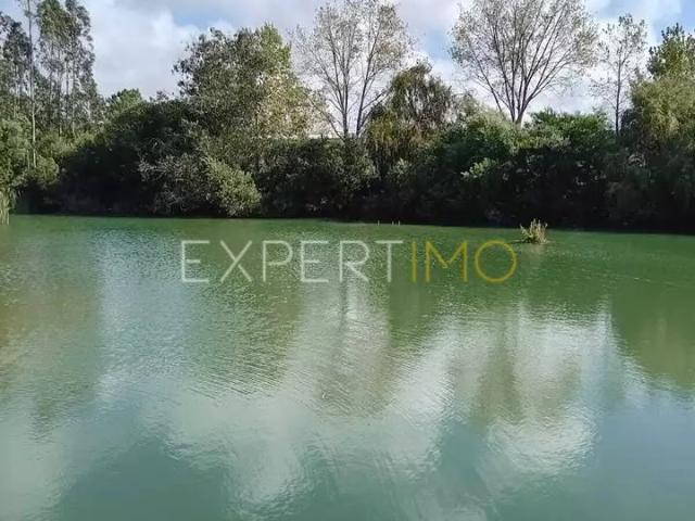Terreno de 30 000 m2 construtivo perto praia Paredes da Vitória Alcobaça